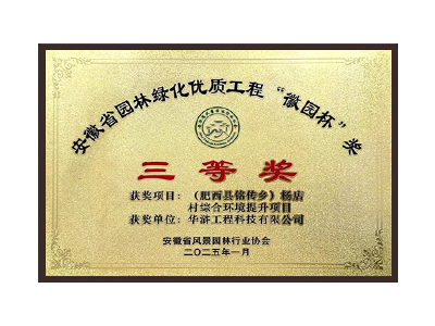 荣获2025“徽园杯”奖三等奖